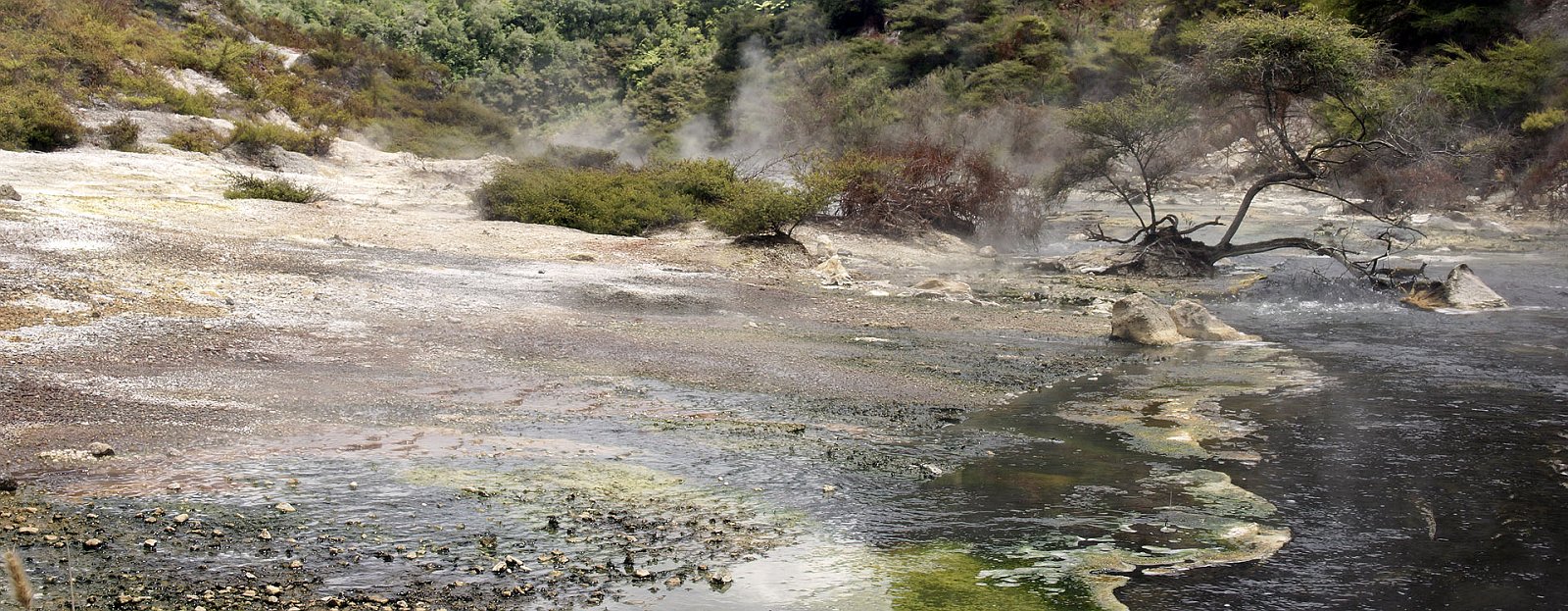 nz12-02-07_166-p.jpg - Rotorua District Waimangu