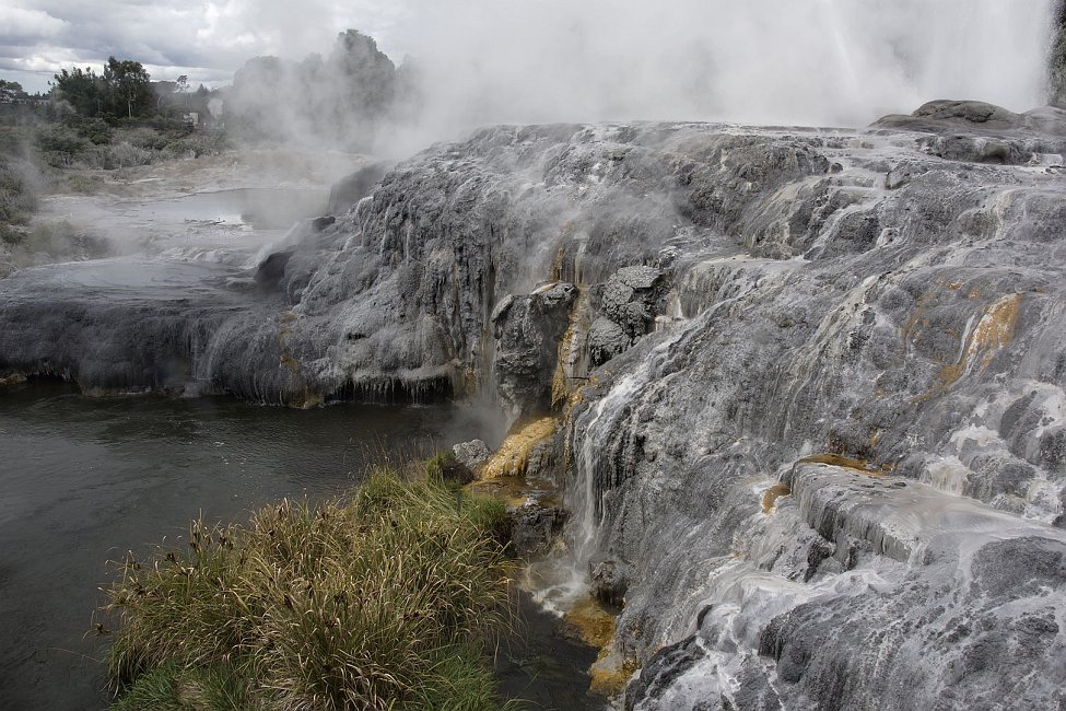 nz12-02-07_216.jpg - un superbe geyser, malheureusement environné  partiellement d'immeubles, car le site a été rattrapé par l'extension de la ville de Rotorua Rotorua District Whakarewarewa