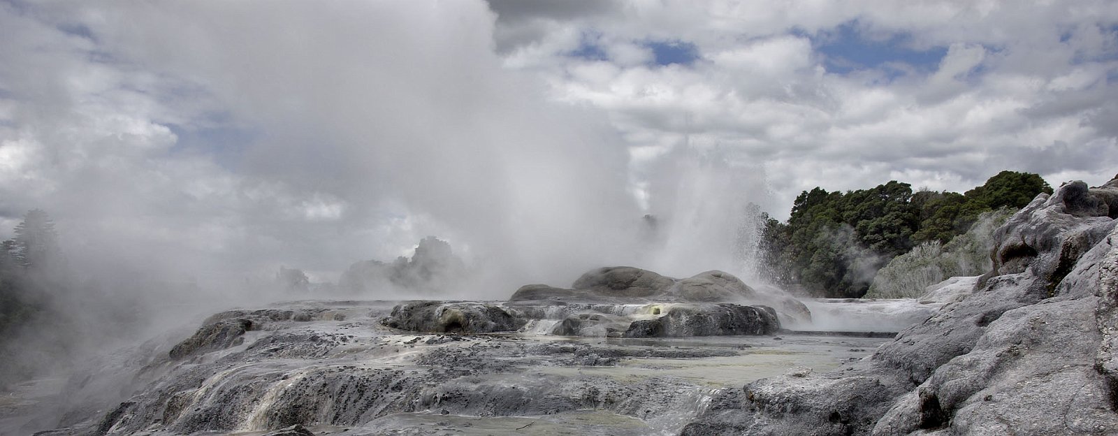 nz12-02-07_218-p.jpg - un superbe geyser, malheureusement environné  partiellement d'immeubles, car le site a été rattrapé par l'extension de la ville de Rotorua Rotorua District Whakarewarewa