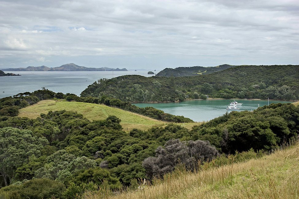 nz12-02-12_087.jpg - Far North District Urupukapuka Island