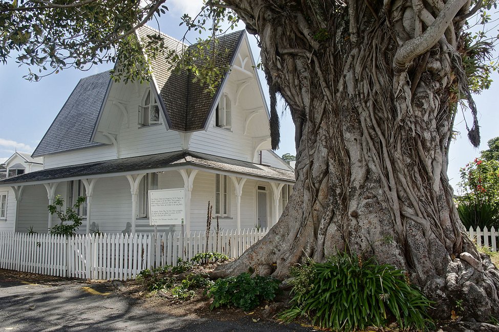nz12-02-13_012.jpg - un sacré ficus près d'une maison traditionnelle Far North District Russel