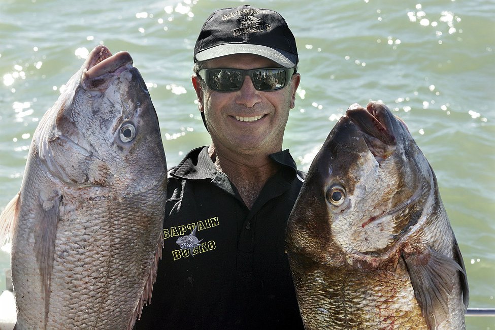 nz12-02-13_100.jpg - un pêcheur qui a lieu d'être satisfait : des snappers (daurades royales) impressionnants, plus de 20 kg par tête Far North District Paihai