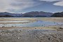 nz12-01-21_006