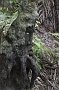 nz12-02-01_035