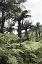 nz12-02-01_073