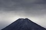 nz12-02-06_003