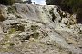 nz12-02-07_103