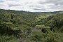 nz12-02-07_139
