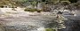 nz12-02-07_166-p
