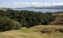 nz12-02-10_049-p