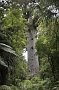 nz12-02-11_094