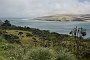nz12-02-11_101