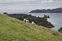 nz12-02-12_100