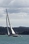 nz12-02-13_068-z
