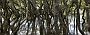 nz12-02-14_007-p