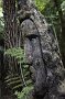 nz12-02-01_033