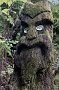 nz12-02-01_092