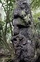 nz12-02-01_094
