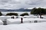 nz12-02-06_094
