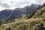nz12-01-22_012