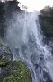 nz12-01-24_225