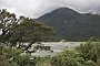 nz12-01-26_013