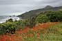 nz12-01-28_067