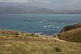 nz12-01-30_044