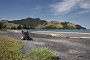 nz12-02-09_137-z