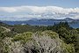 nz12-02-16_057